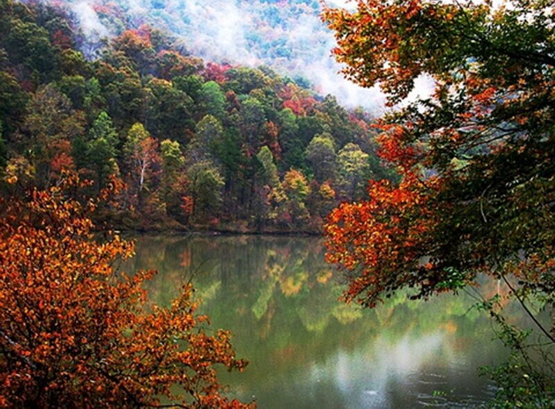 Autumn Forest Lake — Green, Serene, Photograph, Trees, Mountain, Mist