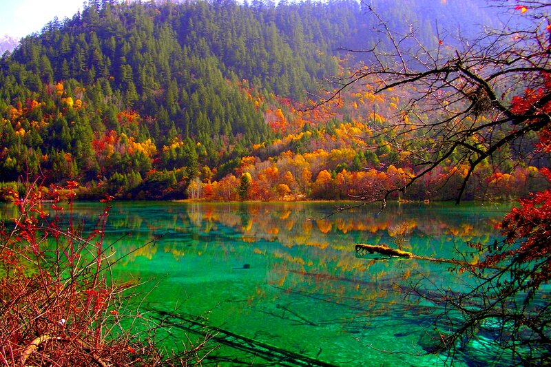 Autumn Forest Lake — Green, Serene, Photograph, Trees, Mountain, Reflection, Branch