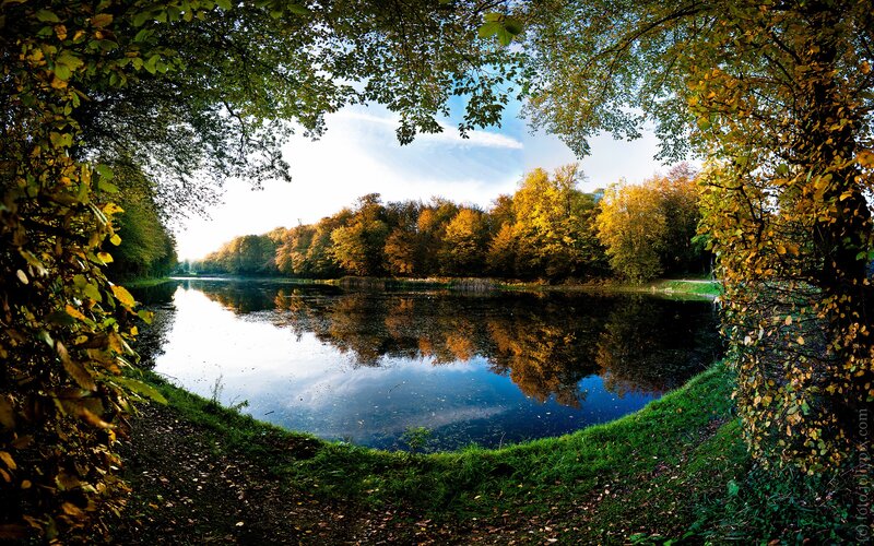 Autumn Forest Lake — Green, Serene, Photograph, Trees, Path