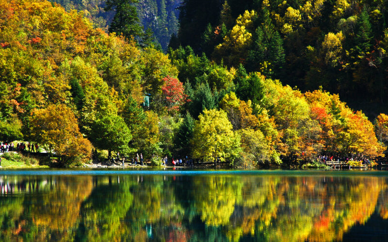 Autumn Forest Lake — Green, Serene, Photograph, Trees, People