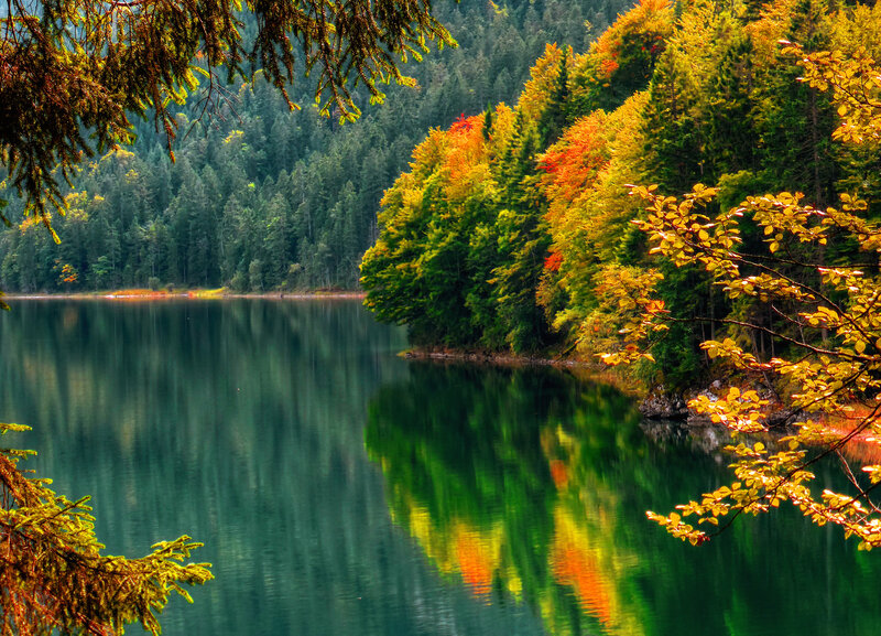 Autumn Forest Lake — Green, Serene, Photograph, Trees, Reflection, Branches