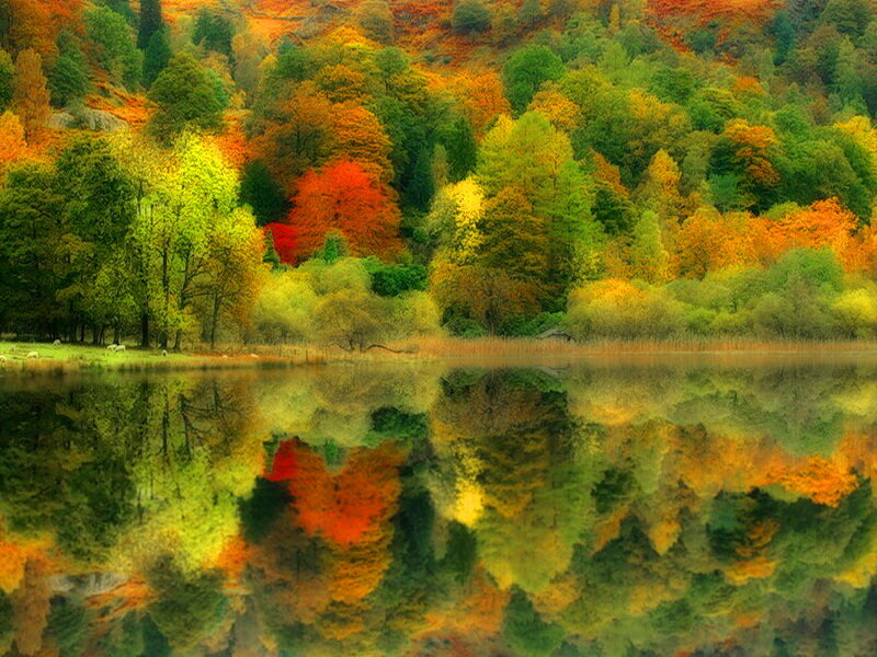 Autumn Forest Lake — Green, Serene, Photograph, Trees, Reflection, Hills