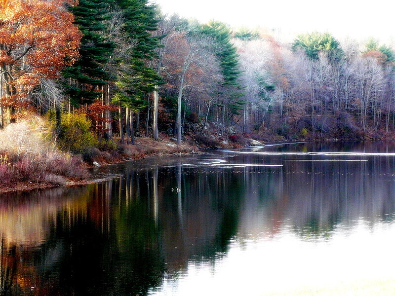 Autumn Forest Lake — Green, Serene, Photograph, Trees, Reflection, Ice