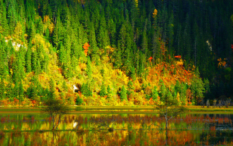 Autumn Forest Lake — Green, Serene, Photograph, Trees, Reflection, Mountain