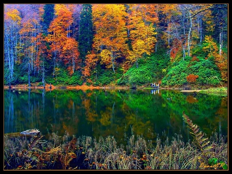 Autumn Forest Lake — Green, Serene, Photograph, Trees, Reflection, People