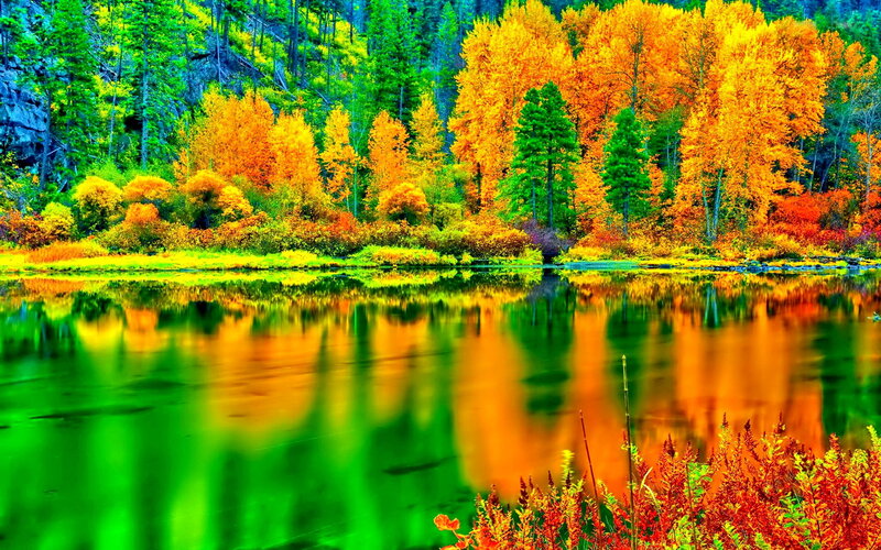 Autumn Forest Lake — Green, Serene, Photograph, Trees, Reflection, River