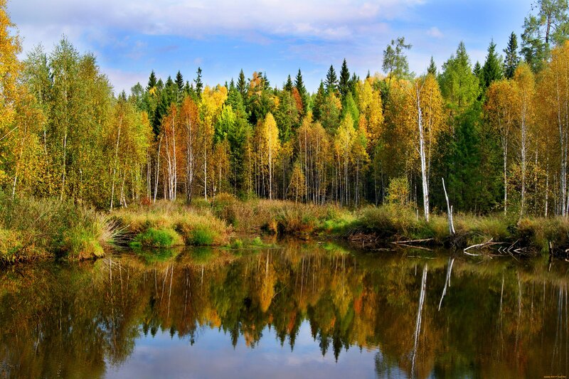Autumn Forest Lake — Green, Serene, Photograph, Trees, Reflection, Sky