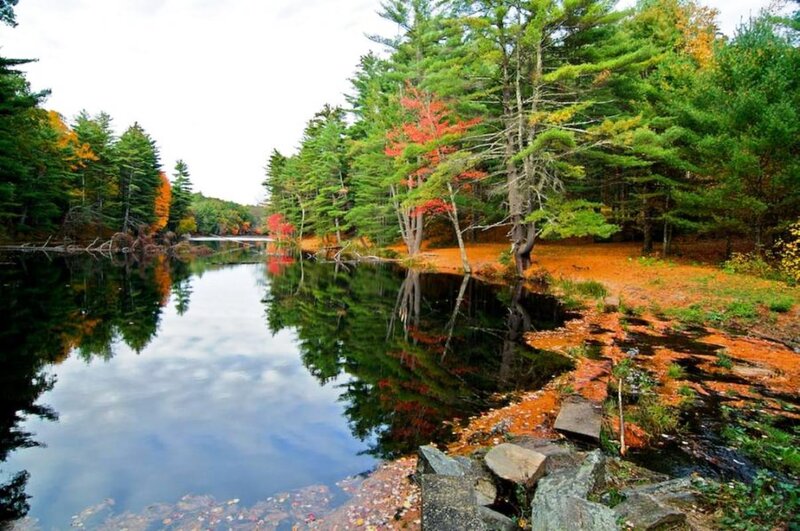 Autumn Forest Lake — Green, Serene, Photograph, Trees, Reflection
