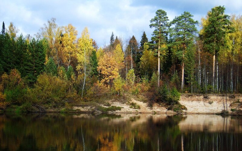 Autumn Forest Lake — Green, Serene, Photograph, Trees, River, Sky, Yellow
