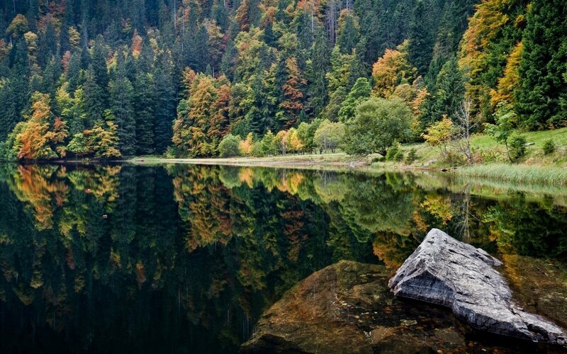 Autumn Forest Lake — Green, Serene, Photograph, Trees, Rock, Reflection, Brown, Blue