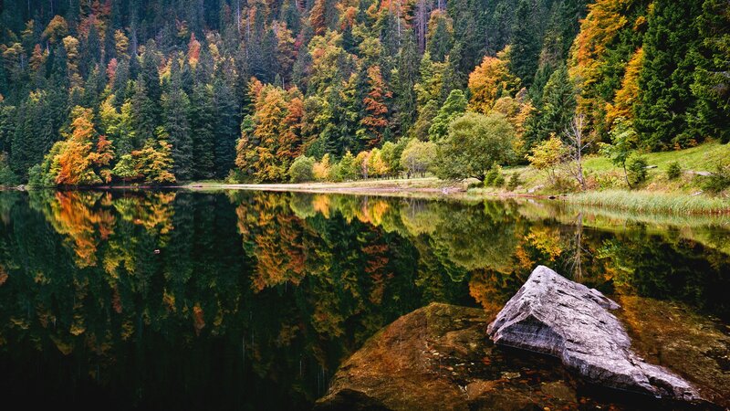 Autumn Forest Lake — Green, Serene, Photograph, Trees, Rock, Reflection, Orange, Brown