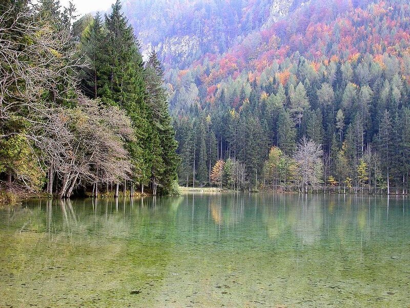 Autumn Forest Lake — Green, Serene, Photograph, Trees