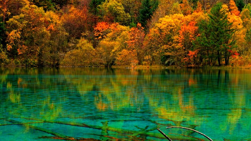 Autumn Forest Lake — Green, Serene, Photograph, Trees, Water, Fall Foliage
