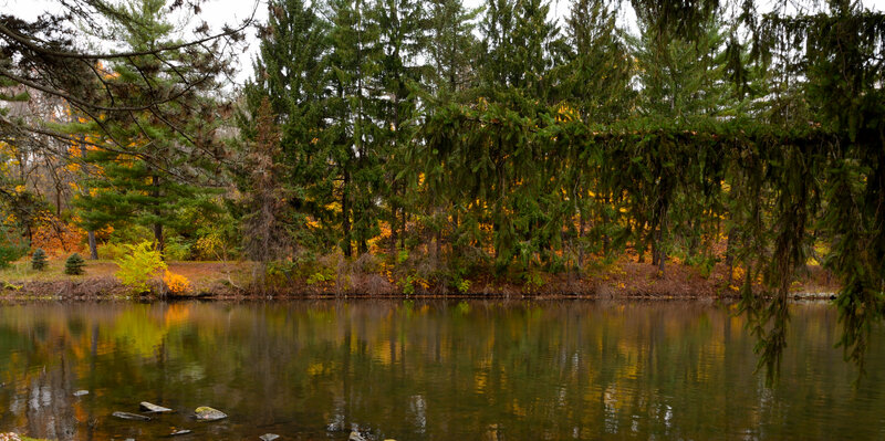 Autumn Forest Lake — Green, Serene, Photograph, Trees, Water, Rocks