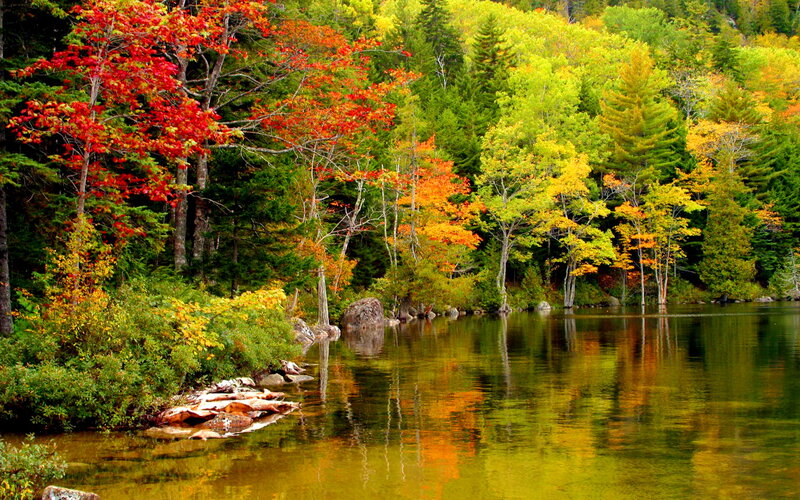 Autumn Forest Lake — Green, Serene, Photograph, Trees, Water