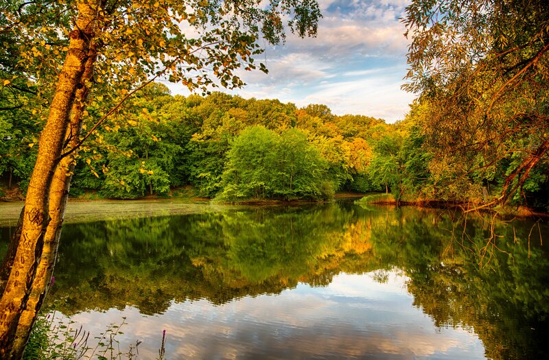 Autumn Forest Lake — Green, Serene, Sunset