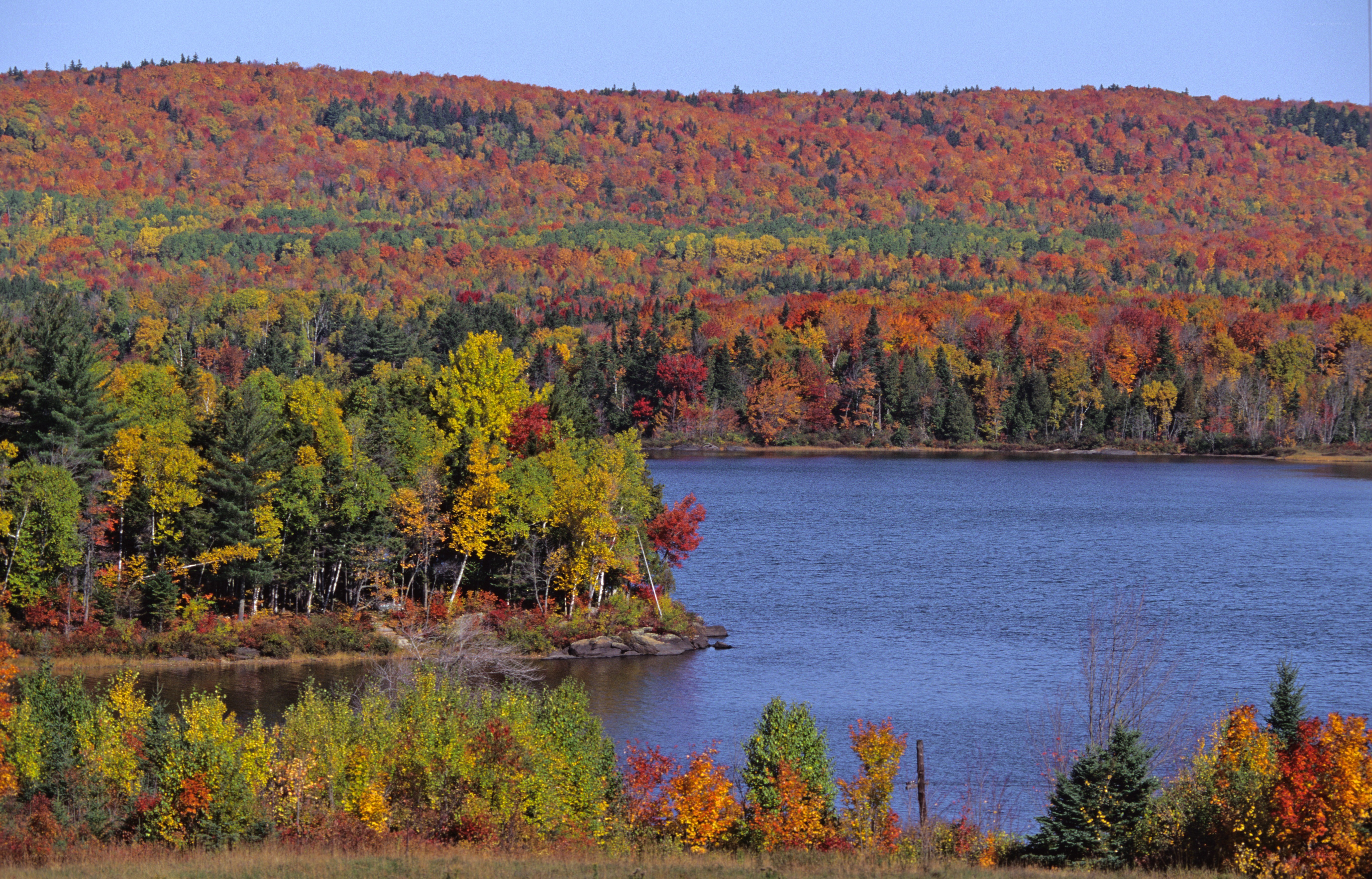 autumn forest lake landscape