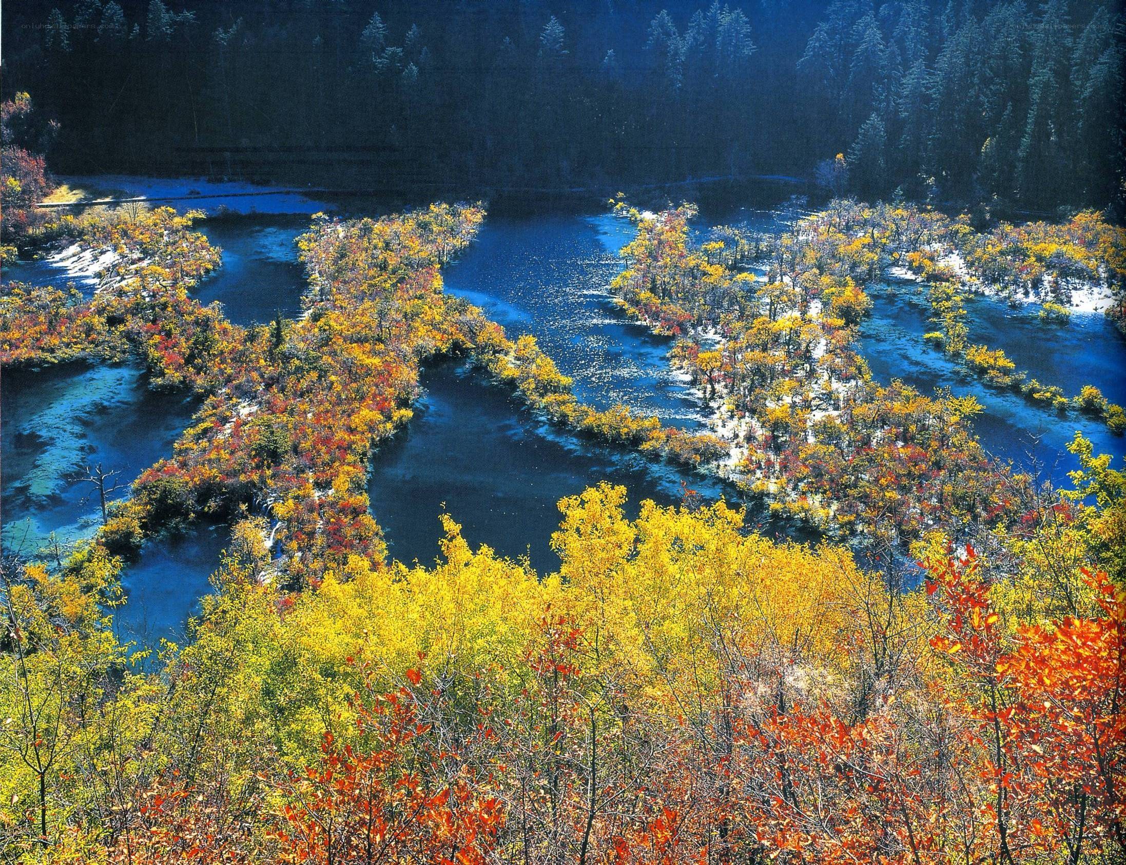 Autumn forest lake landscape