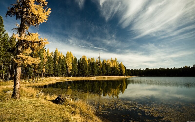 Autumn forest lake landscape