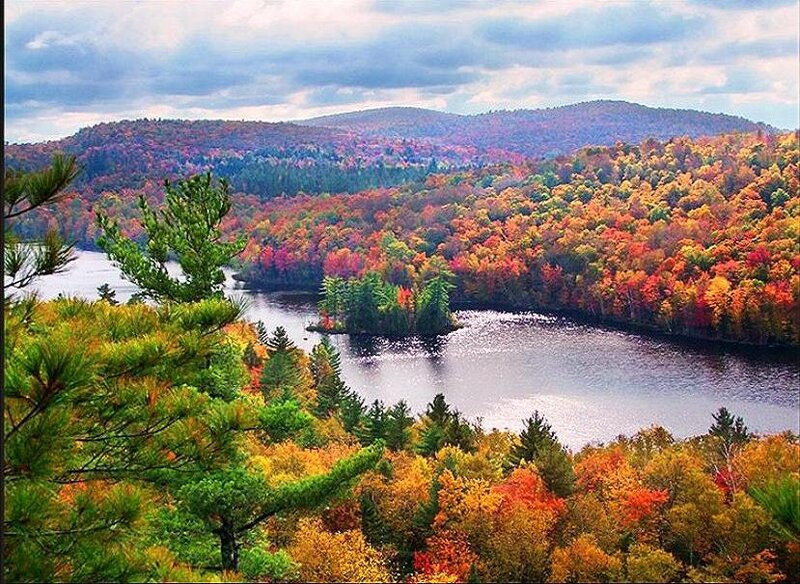 autumn forest lake landscape