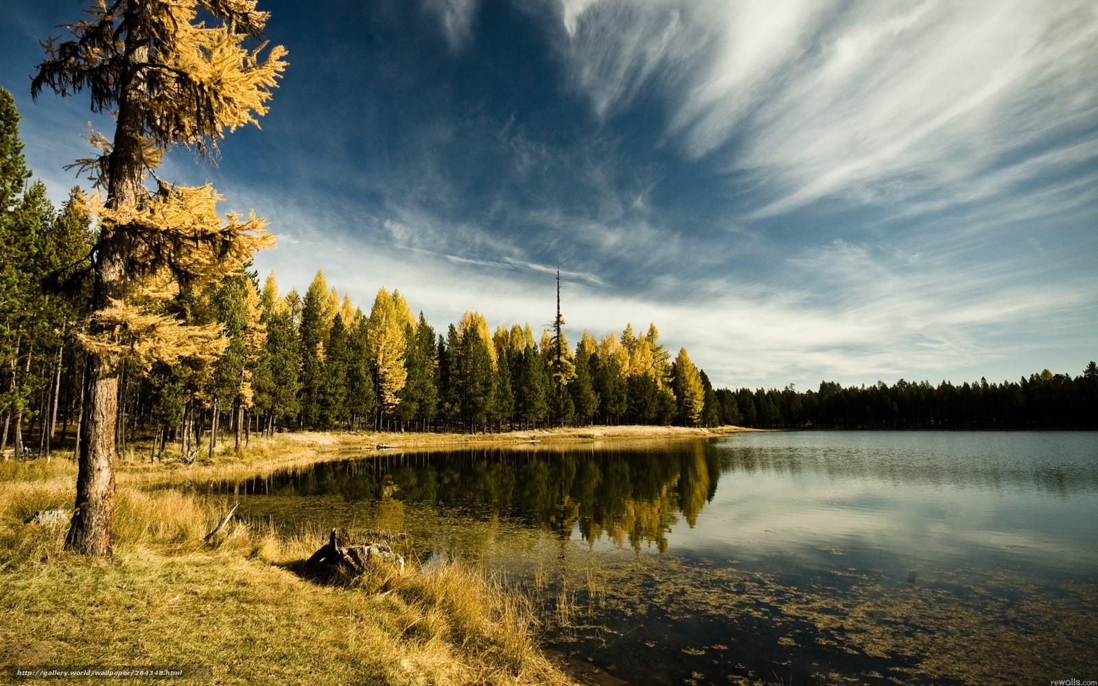 Autumn forest lake landscape