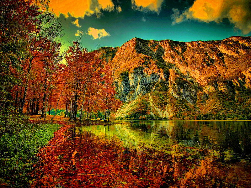 Autumn Forest Lake — Orange, Dramatic, Photograph
