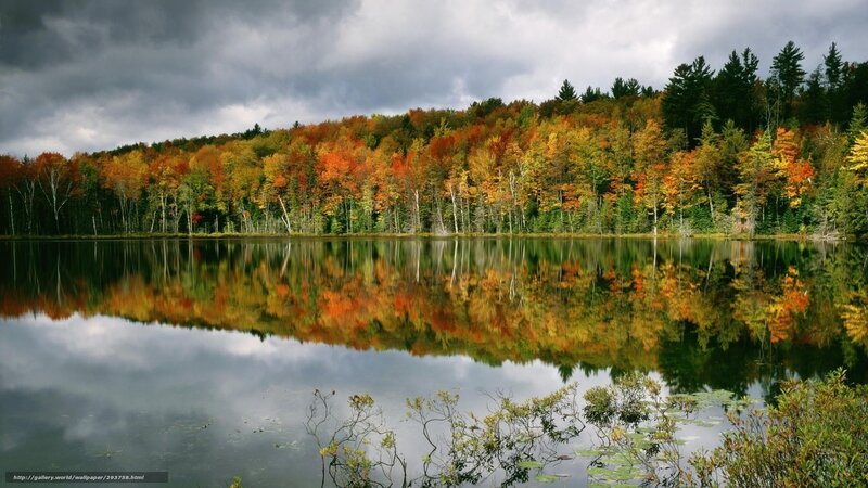 Autumn Forest Lake — Orange, Dramatic, Photograph, Trees