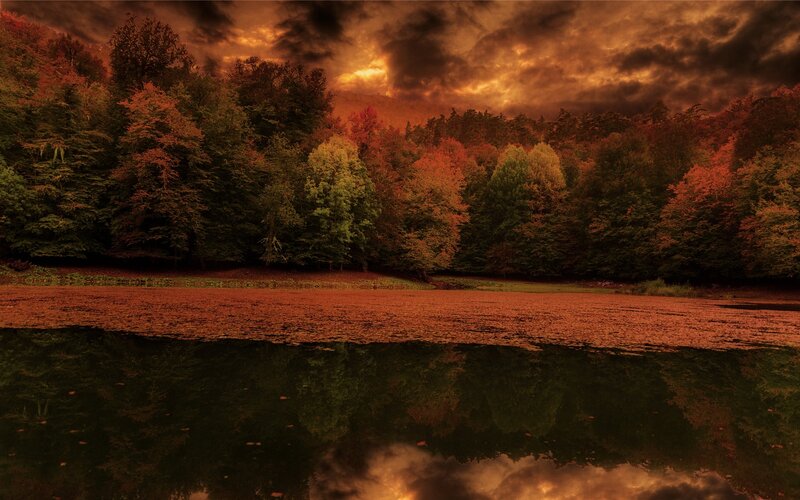 Autumn Forest Lake — Orange, Dramatic, Sunset
