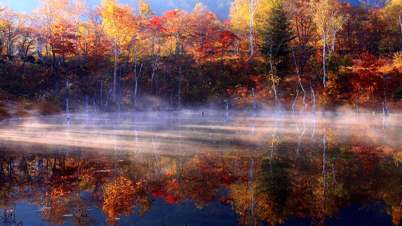 Autumn Forest Lake — Orange, Serene, Morning