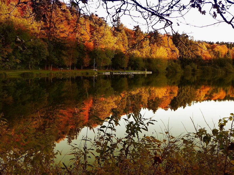 Autumn Forest Lake — Orange, Serene, Photograph