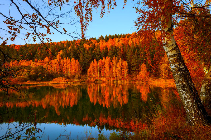 Autumn Forest Lake — Orange, Serene, Photograph, Trees, Birch Tree