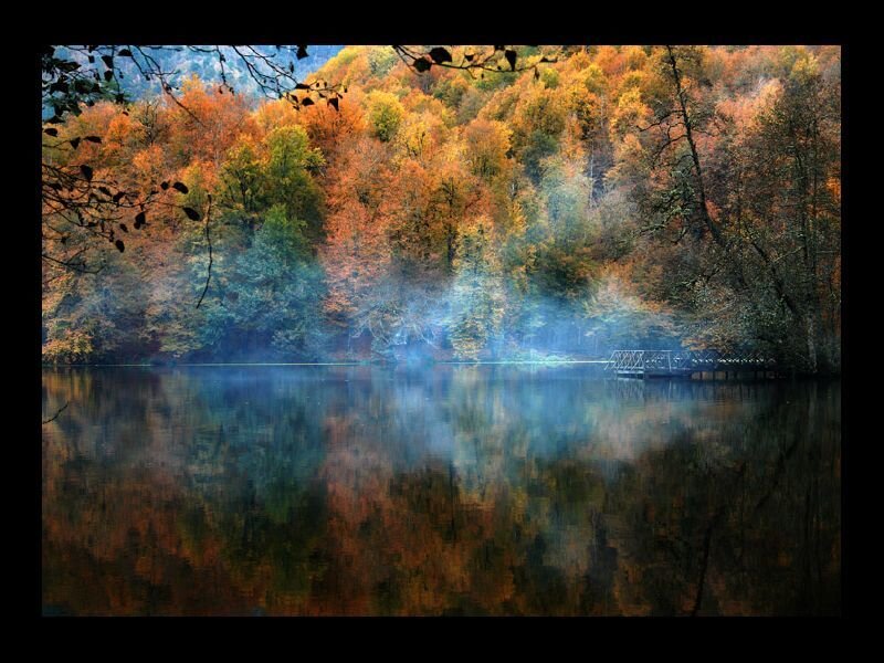 Autumn Forest Lake — Orange, Serene, Photograph, Trees, Fog