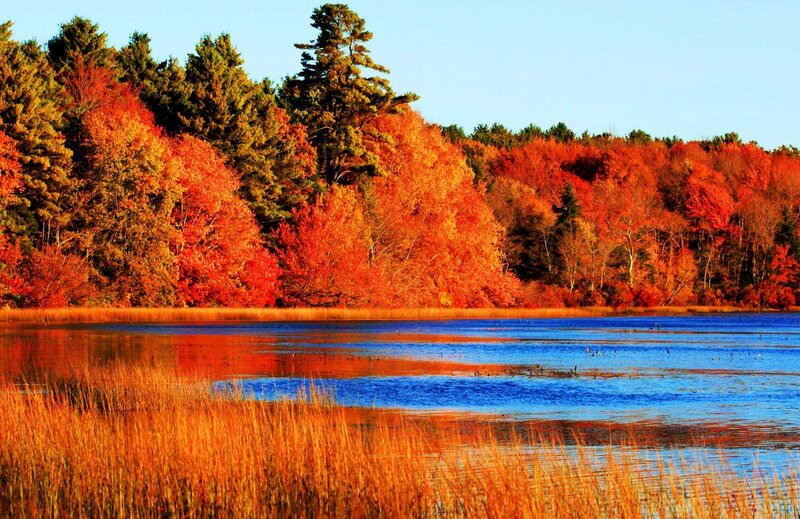 Autumn Forest Lake — Orange, Serene, Photograph, Trees, Grass