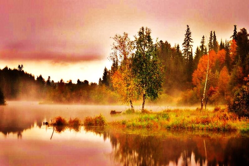 Autumn Forest Lake — Orange, Serene, Photograph, Trees, Mist, Reflection