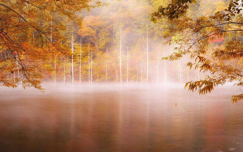 Autumn Forest Lake — Orange, Serene, Photograph, Trees, Mist, Water