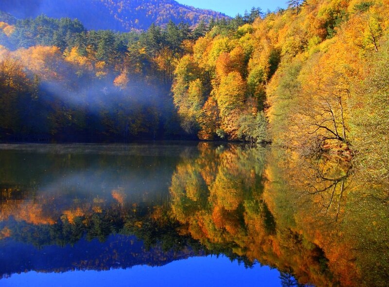 Autumn Forest Lake — Orange, Serene, Photograph, Trees, Mountain, Mist