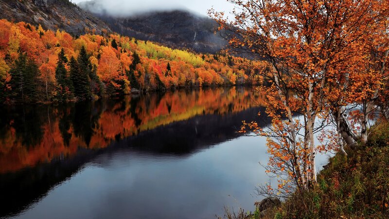 Autumn Forest Lake — Orange, Serene, Photograph, Trees, Mountain, Reflection