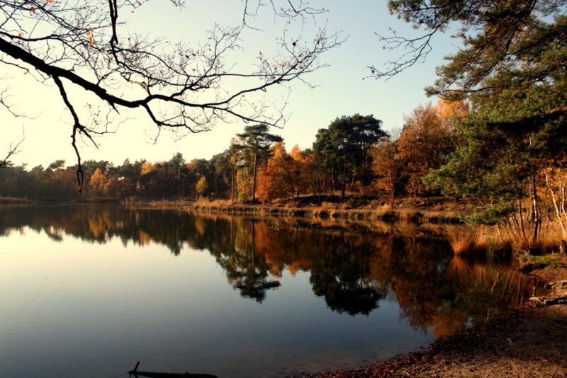 Autumn Forest Lake — Orange, Serene, Photograph, Trees, Reflection, Branch