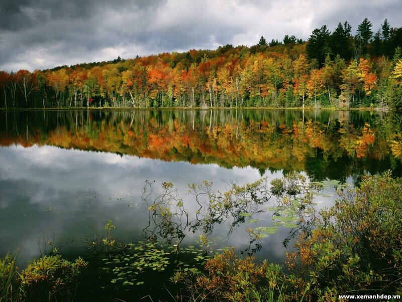 Autumn Forest Lake — Orange, Serene, Photograph, Trees, Reflection, Clouds