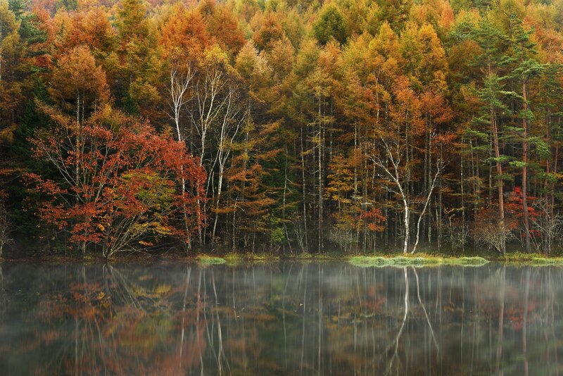 Autumn Forest Lake — Orange, Serene, Photograph, Trees, Reflection, Mist