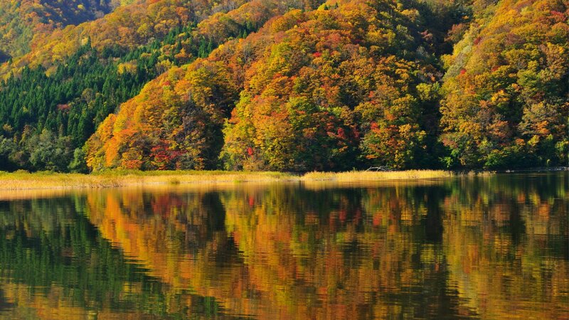 Autumn Forest Lake — Orange, Serene, Photograph, Trees, Reflection, Mountain, Green