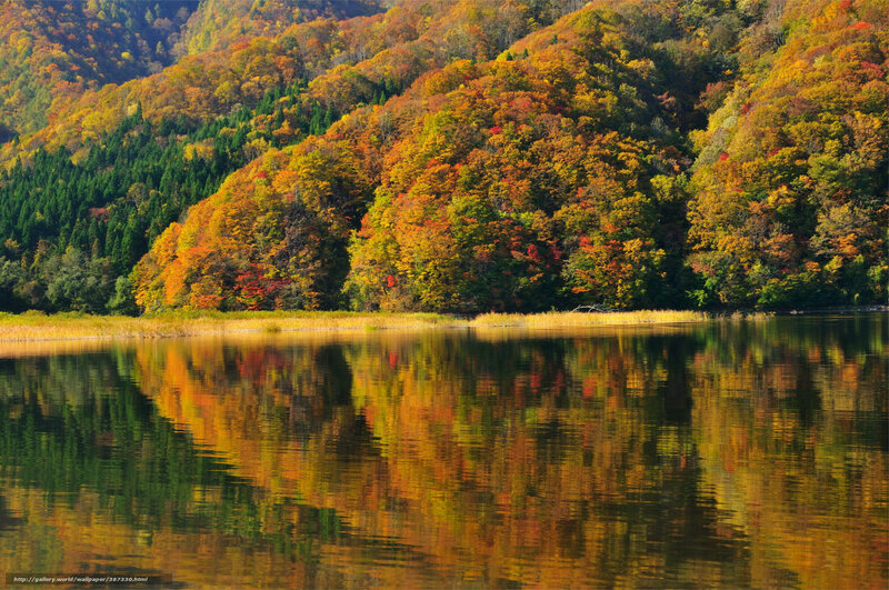 Autumn Forest Lake — Orange, Serene, Photograph, Trees, Reflection, Mountain