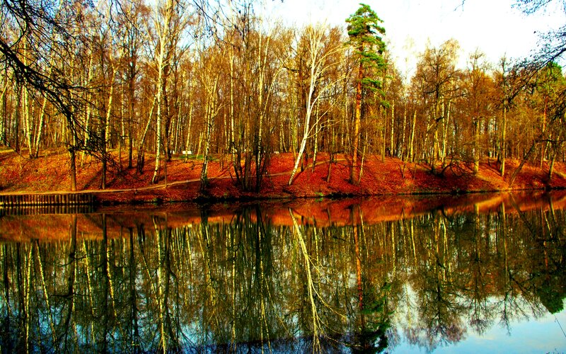 Autumn Forest Lake — Orange, Serene, Photograph, Trees, Reflection, Path