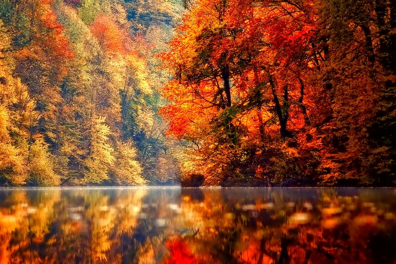 Autumn Forest Lake — Orange, Serene, Photograph, Trees, Reflection, River