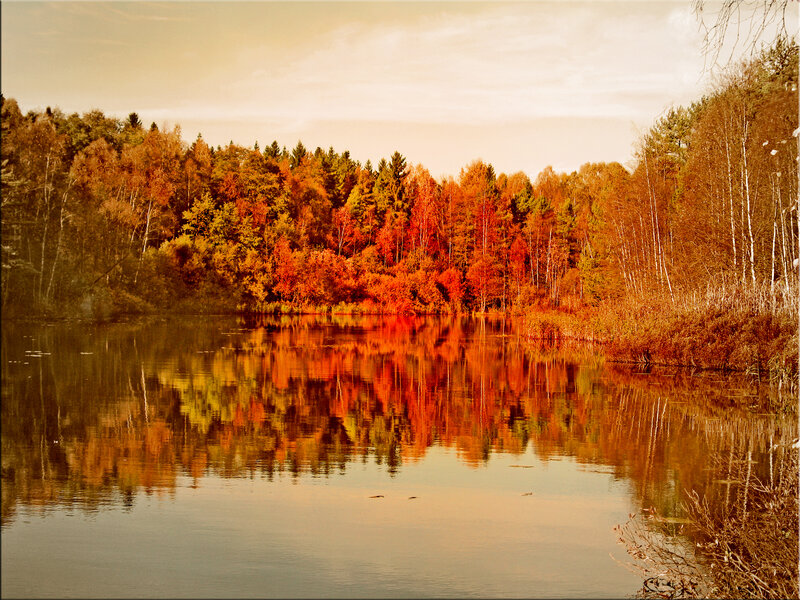 Autumn Forest Lake — Orange, Serene, Photograph, Trees, Reflection, Sky
