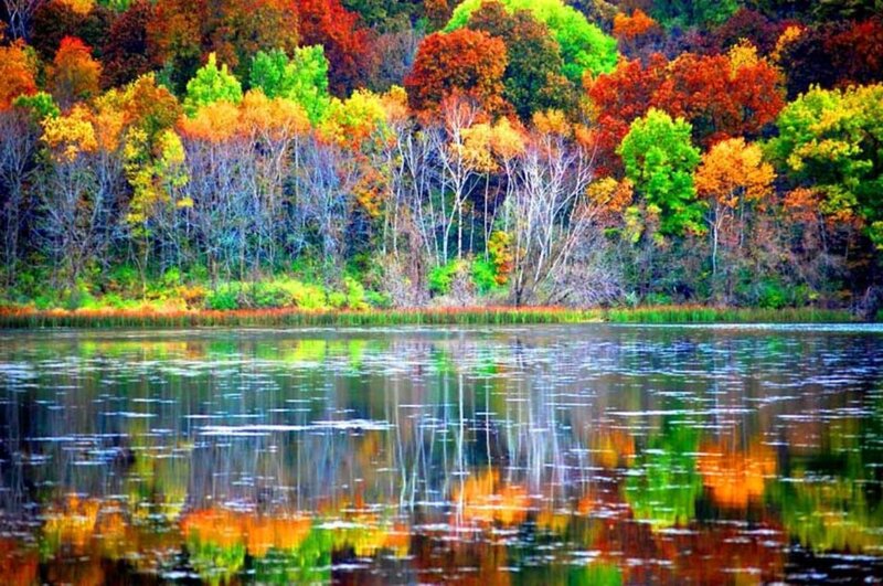 Autumn Forest Lake — Orange, Serene, Photograph, Trees, Reflection
