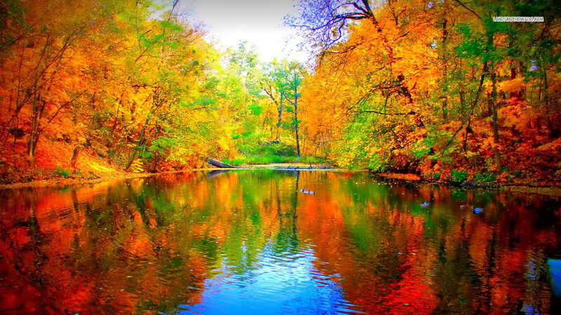 Autumn Forest Lake — Orange, Serene, Photograph, Trees, River
