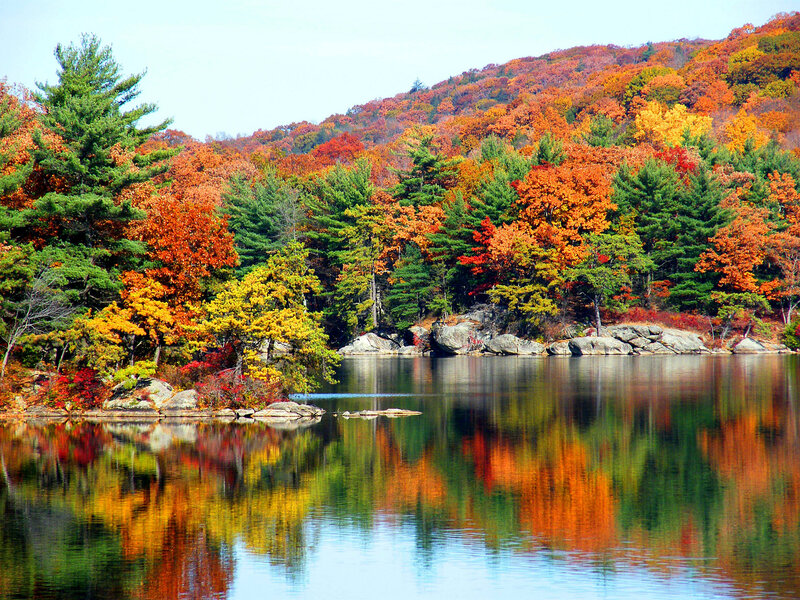 Autumn Forest Lake — Orange, Serene, Photograph, Trees, Rocks, Reflection