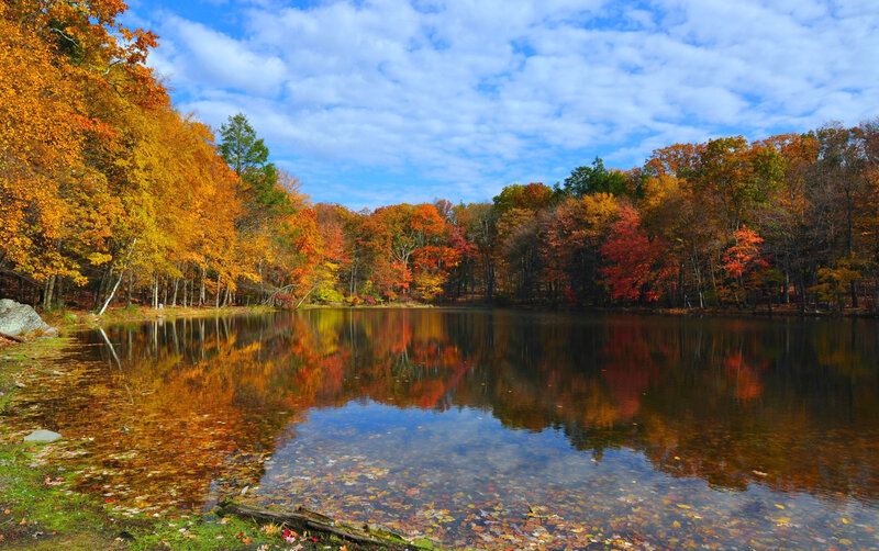 Autumn Forest Lake — Orange, Serene, Photograph, Trees, Sky, Reflection