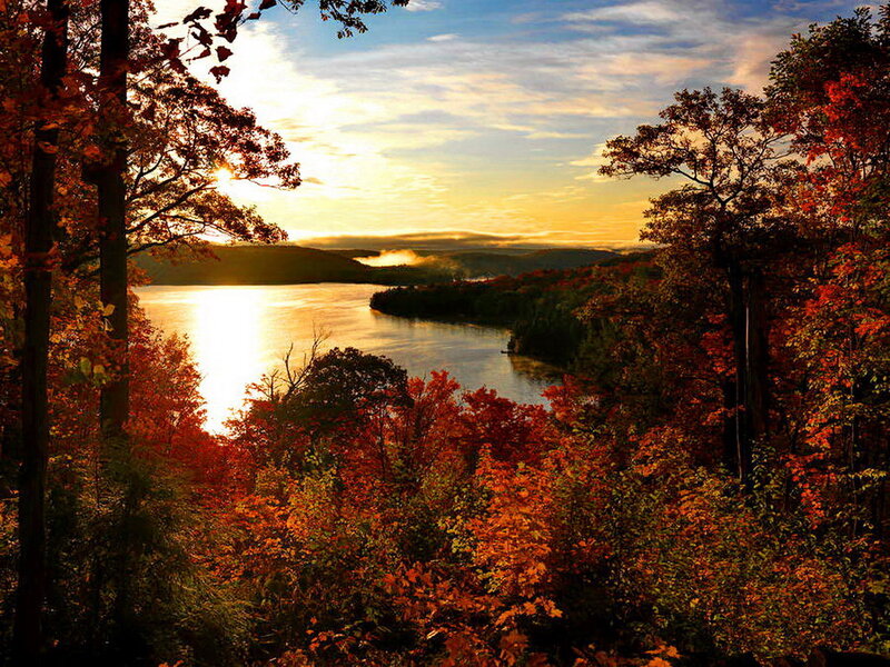 Autumn Forest Lake — Orange, Serene, Sunrise